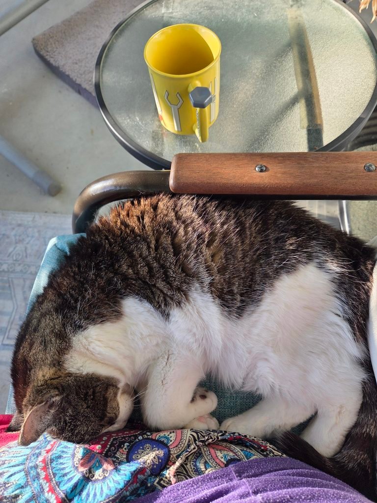 Thor sleeping beside me on my glider during morning coffee